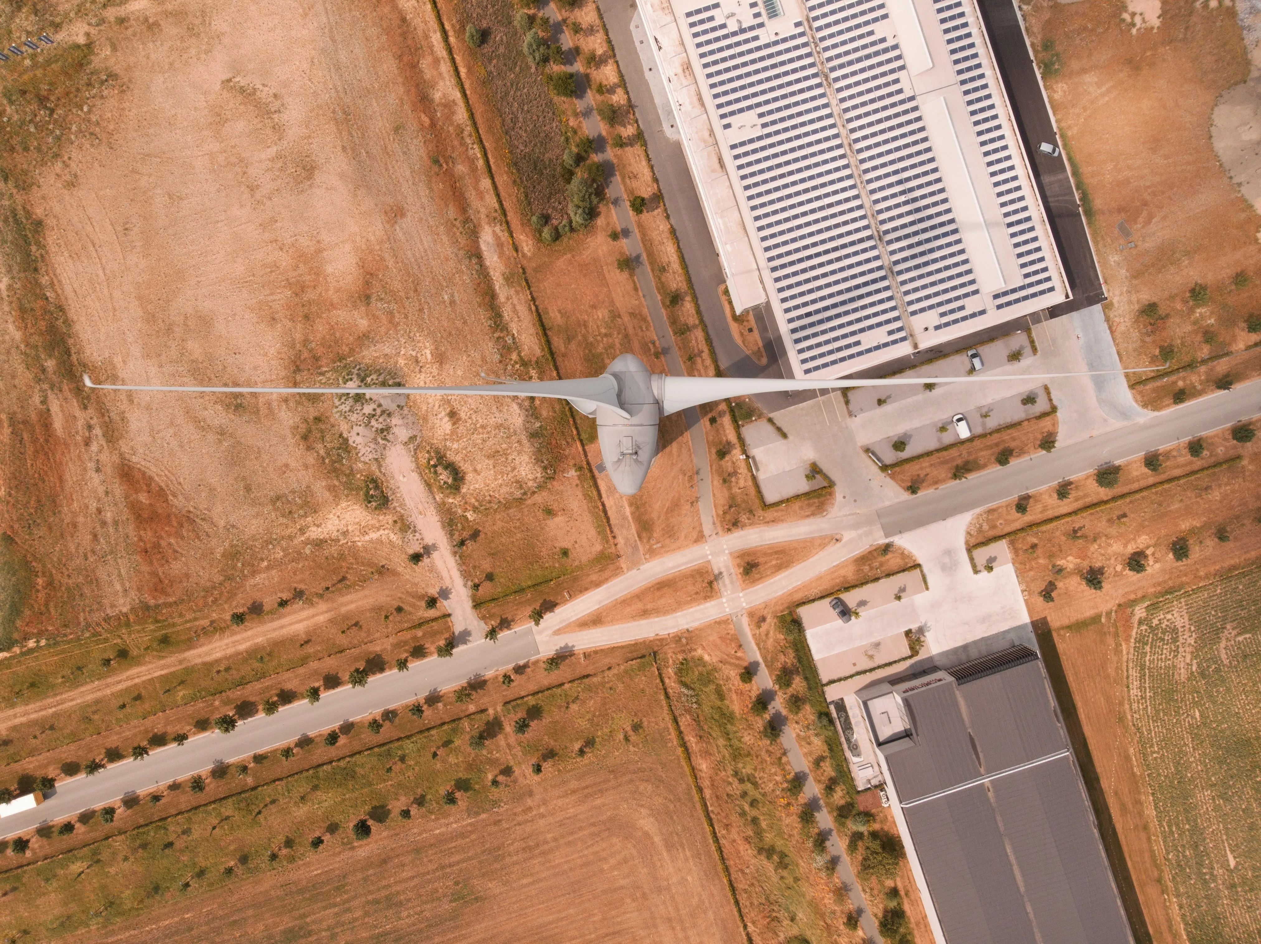 Section image